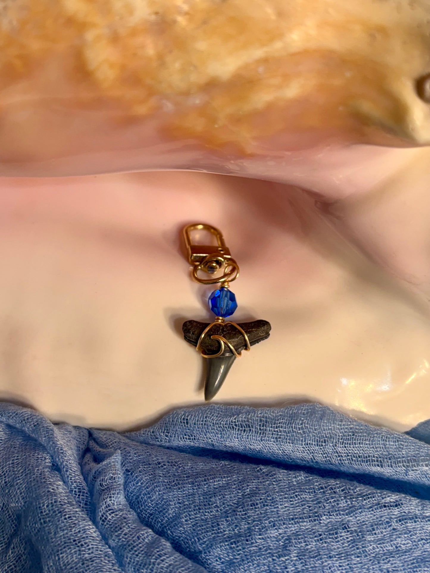 Shark Tooth Bag Charm/Keychain