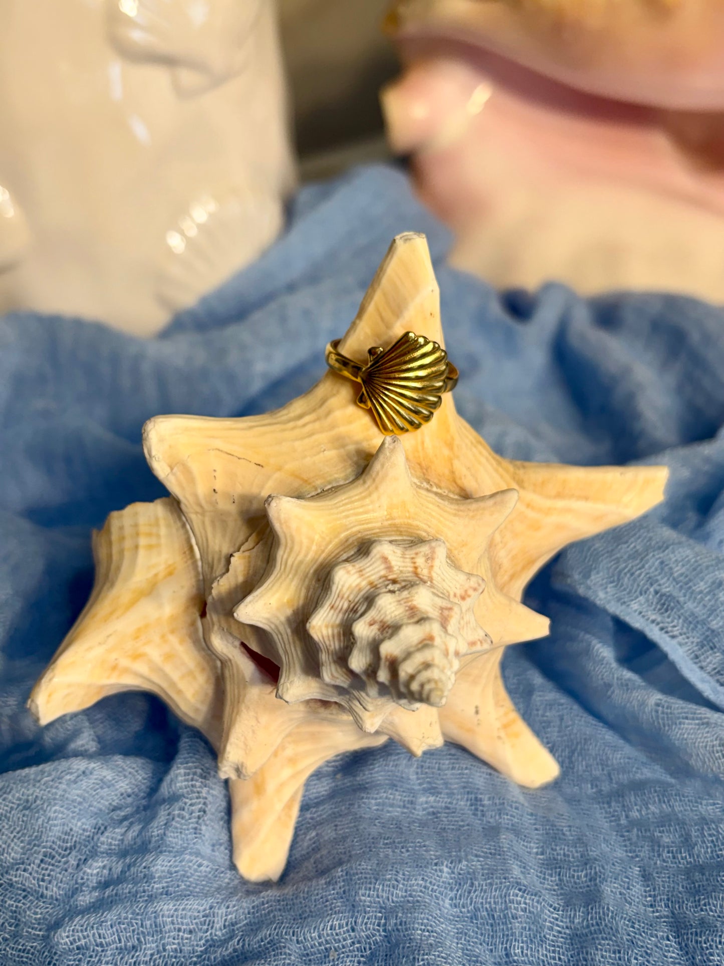 Shell Ring