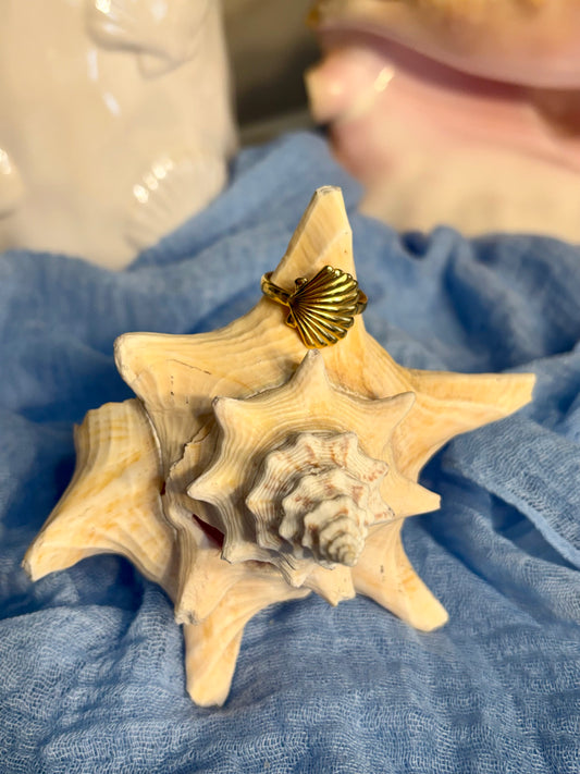 Shell Ring