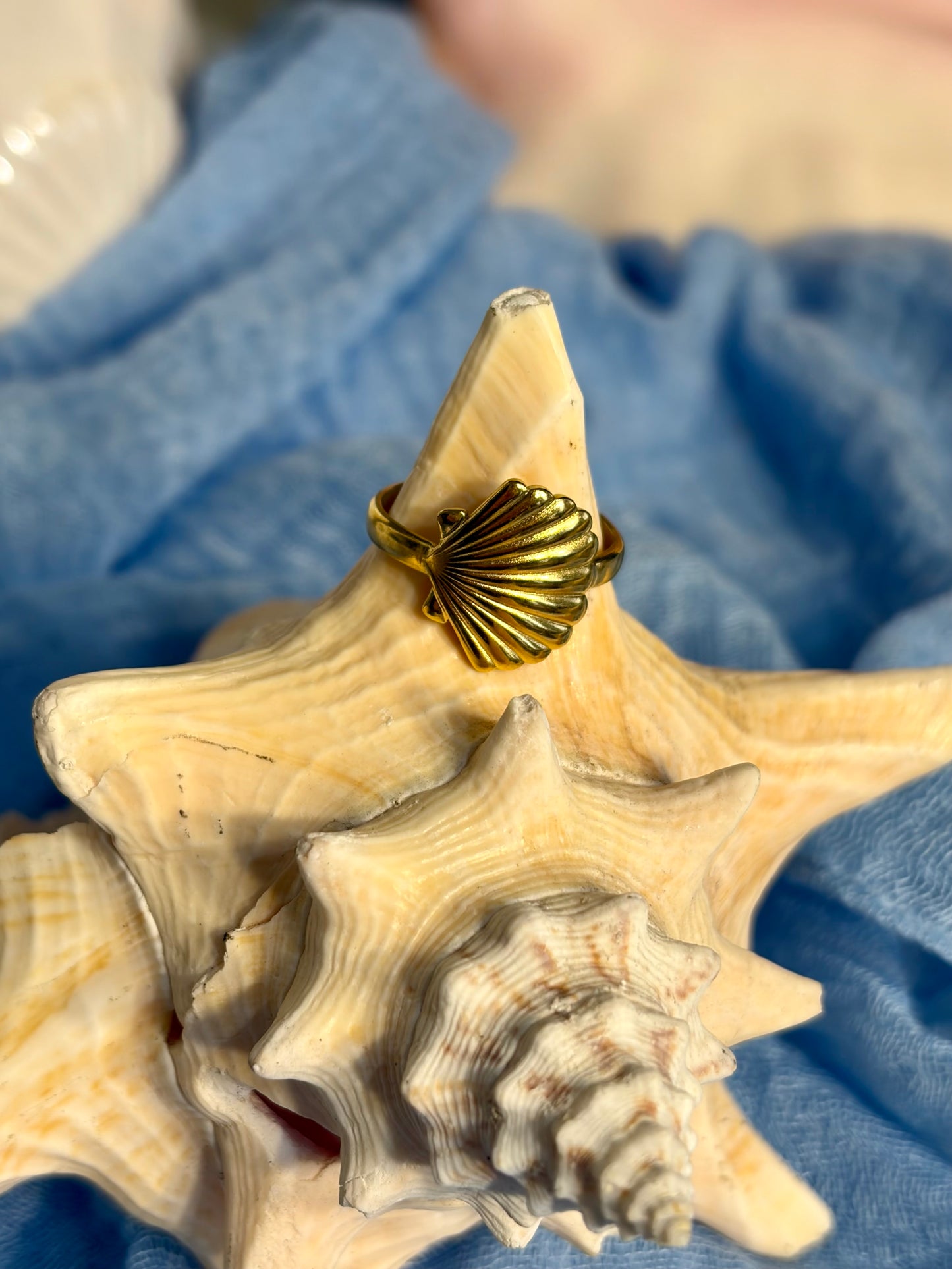 Shell Ring