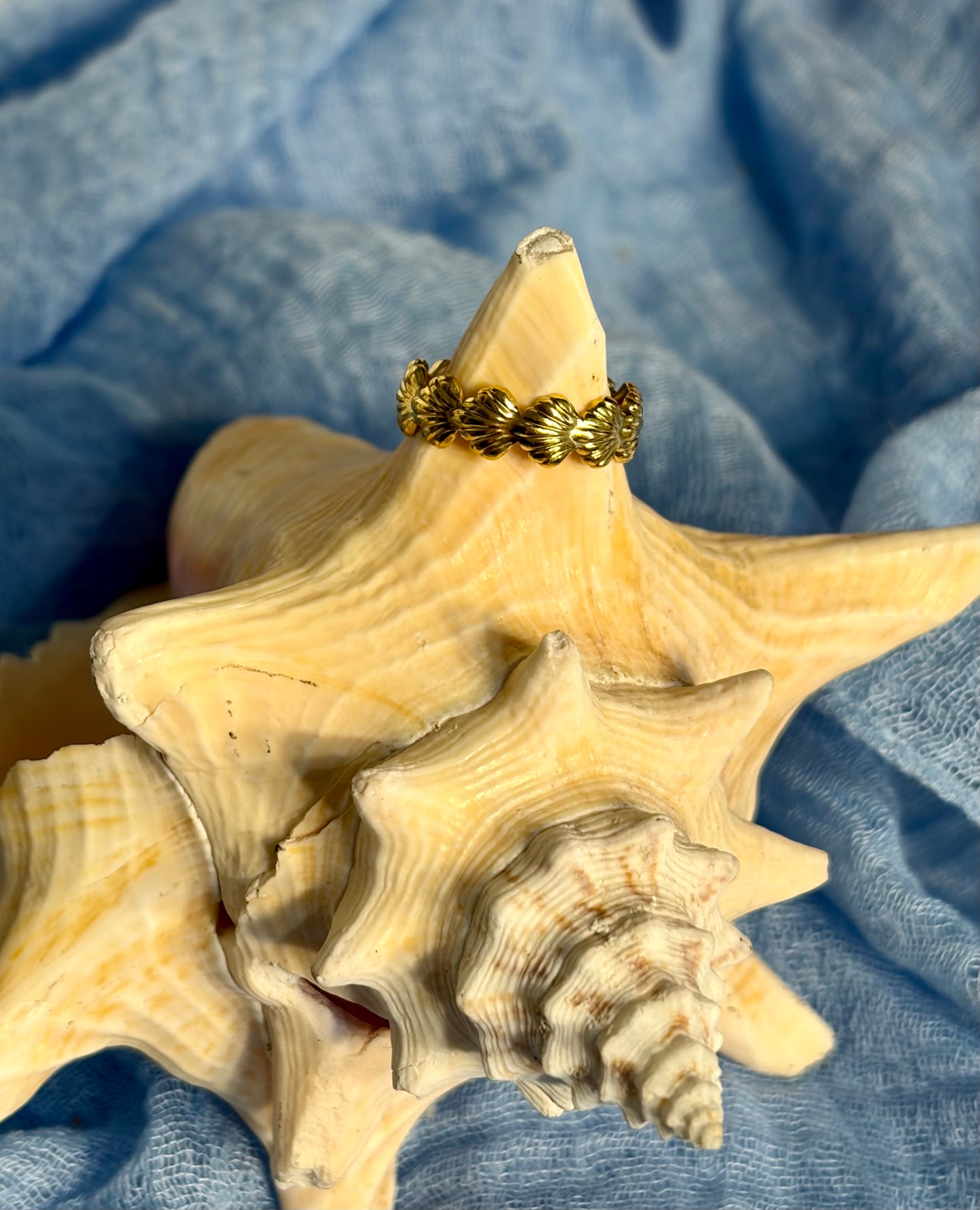 Multi Shell Ring