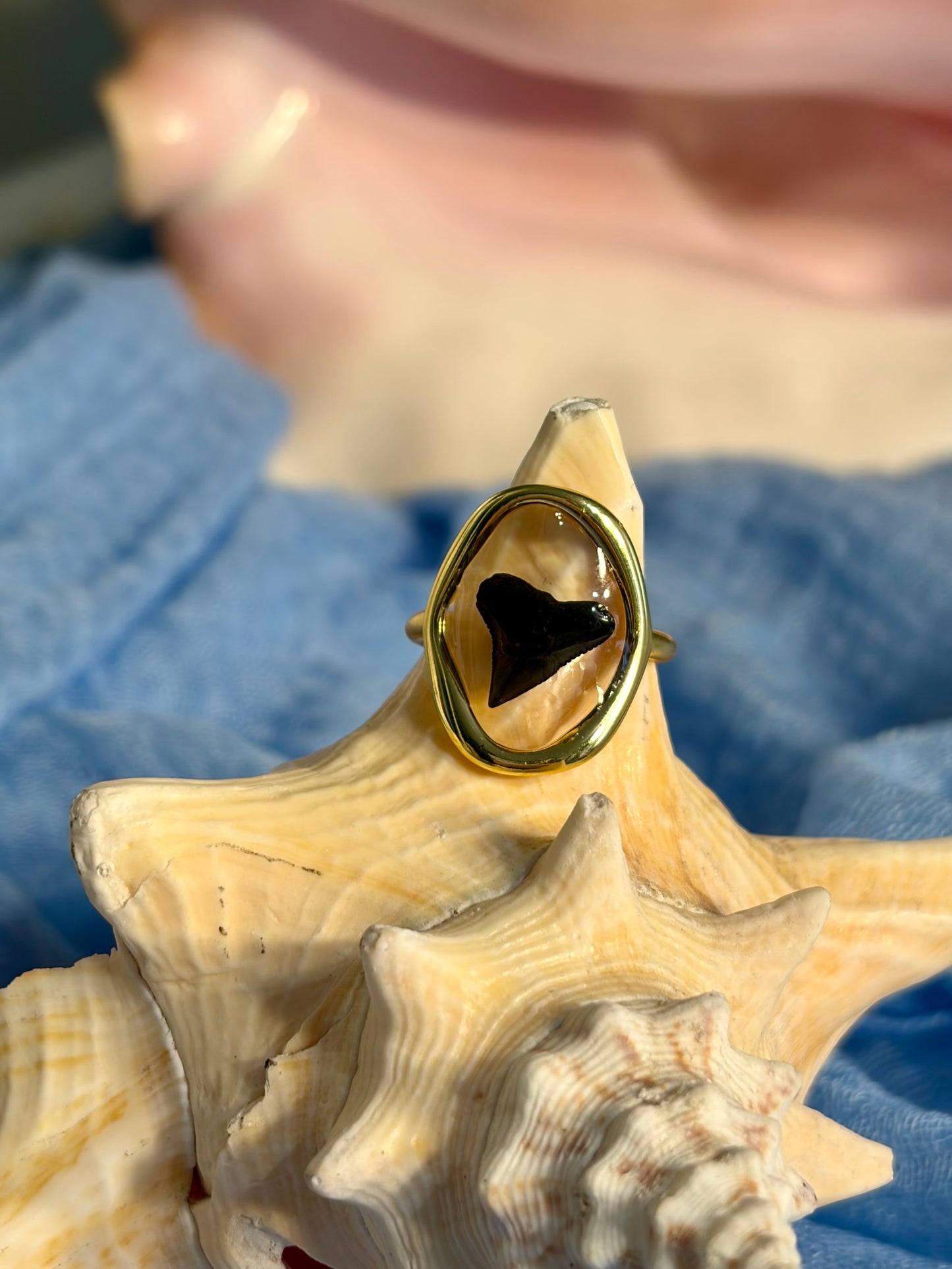 Shark Tooth Resin Ring