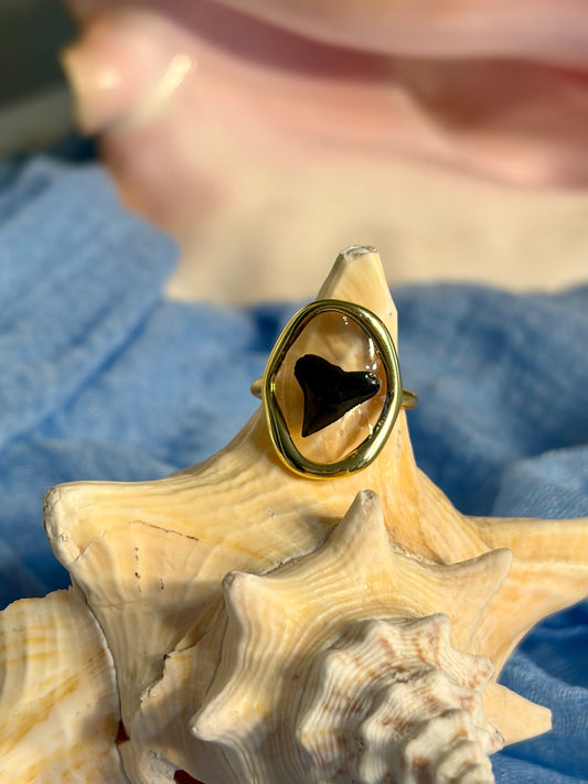 Shark Tooth Resin Ring