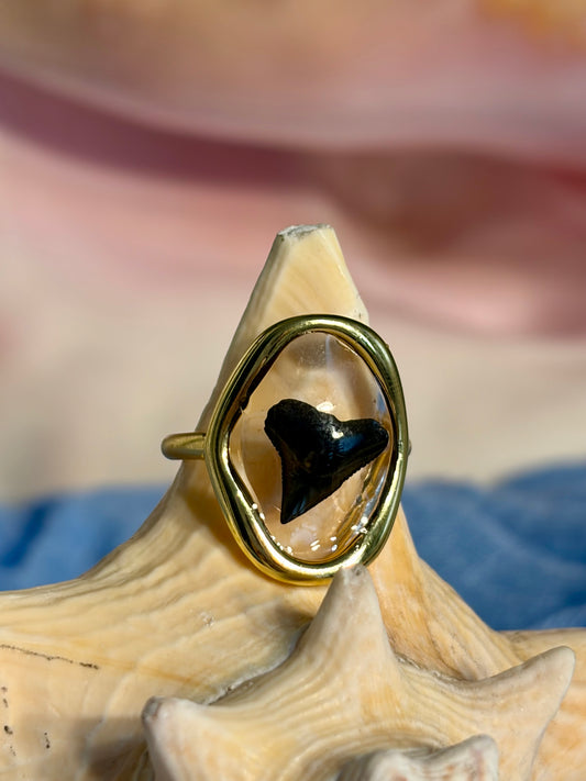 Shark Tooth Resin Ring