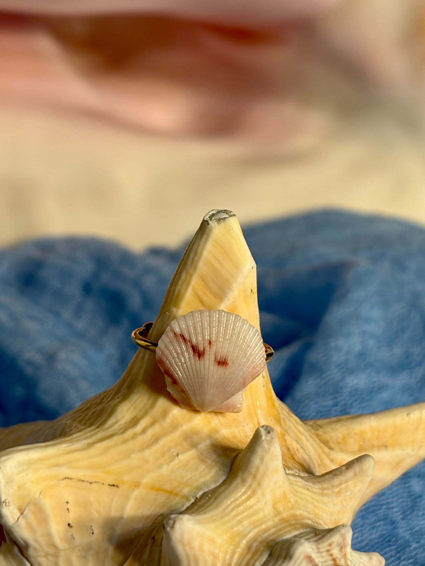 Calico Shell Ring