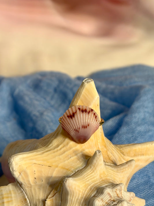 Calico Shell Ring