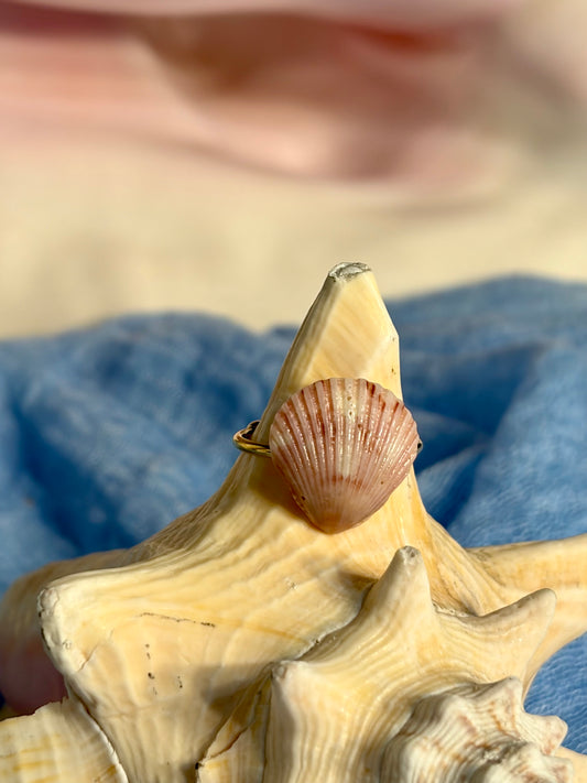 Calico Shell Ring