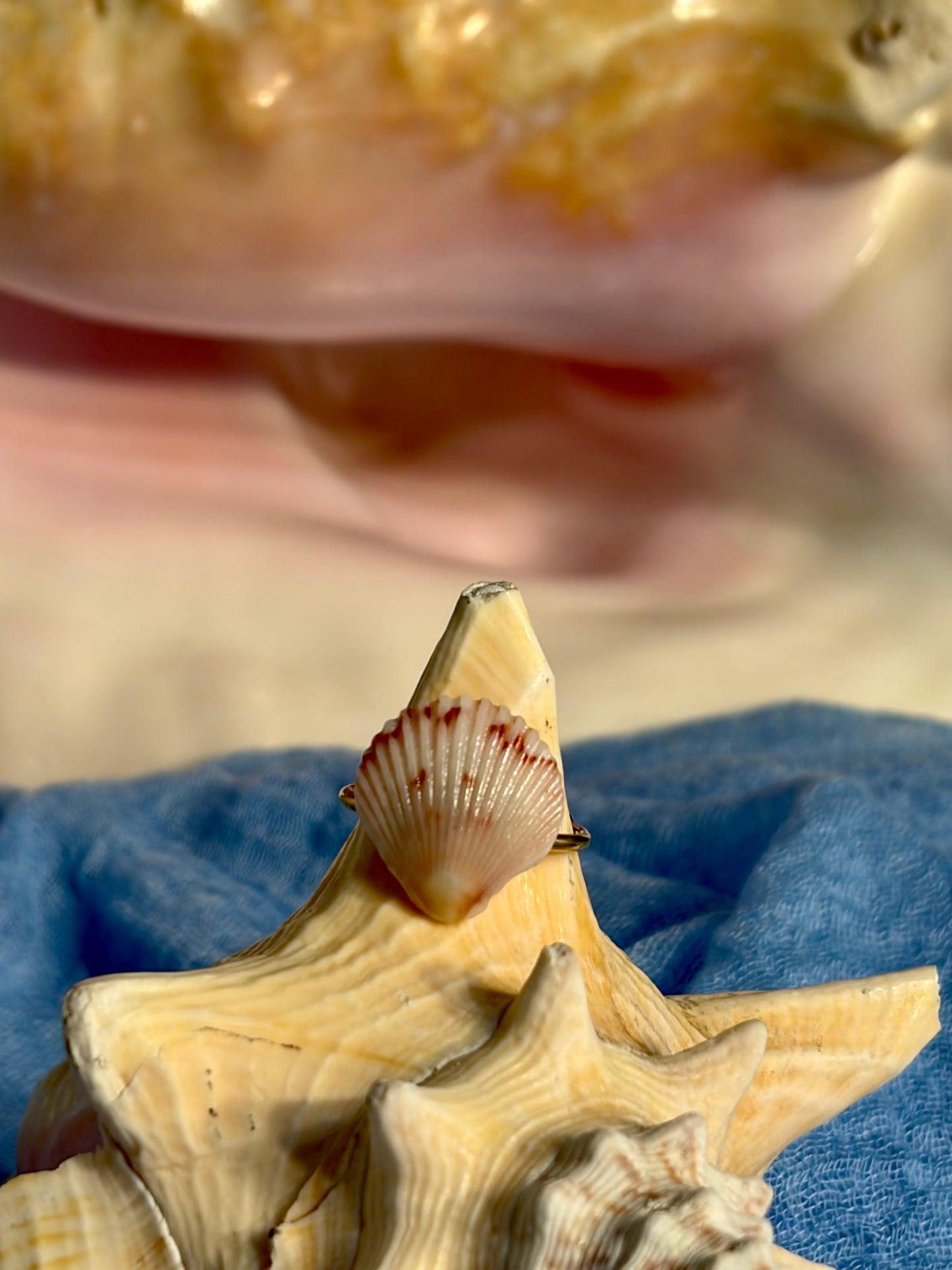 Calico Shell Ring