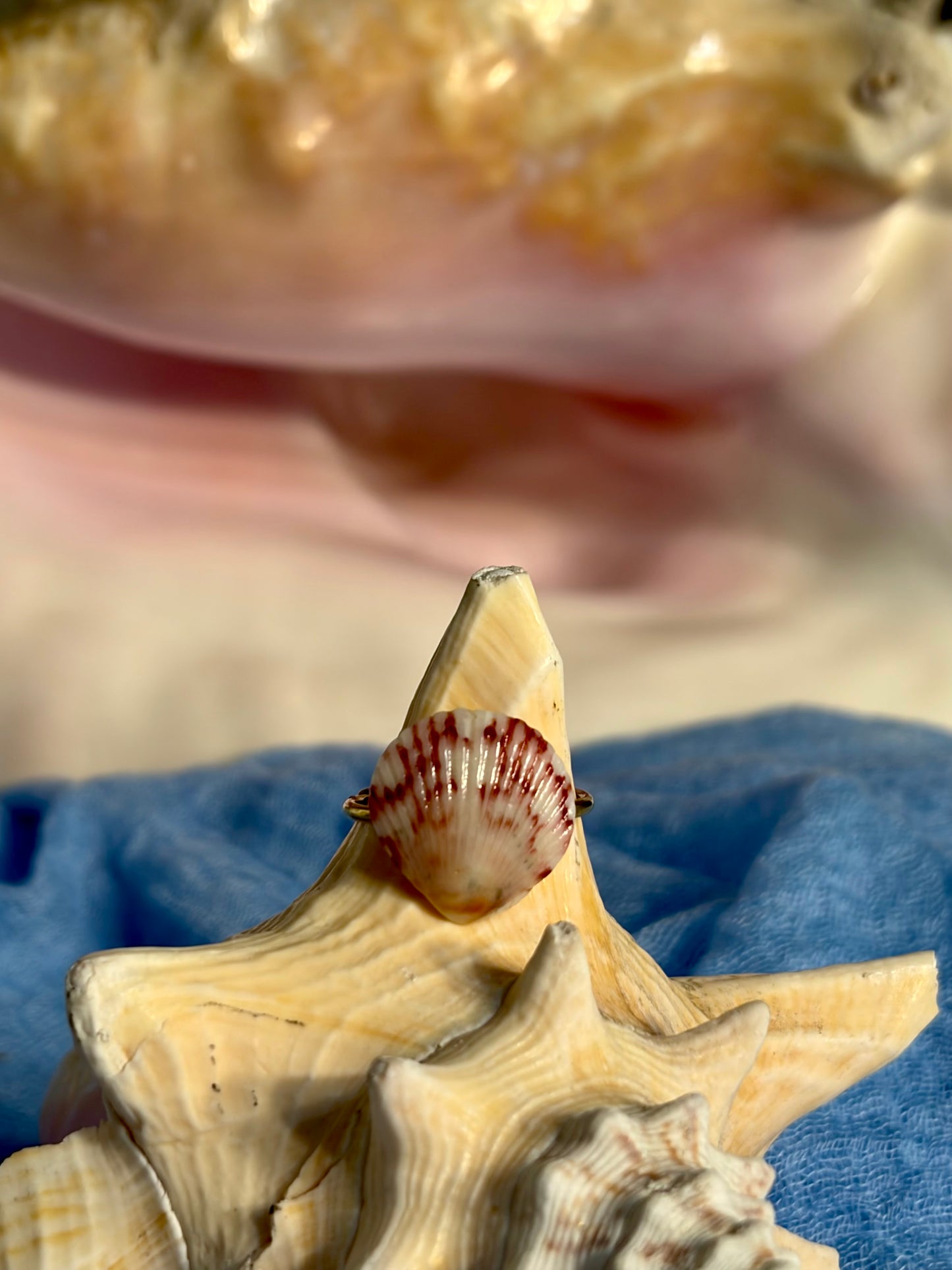 Calico Shell Ring
