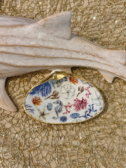 Under the Sea Clam Shell Trinket Dish
