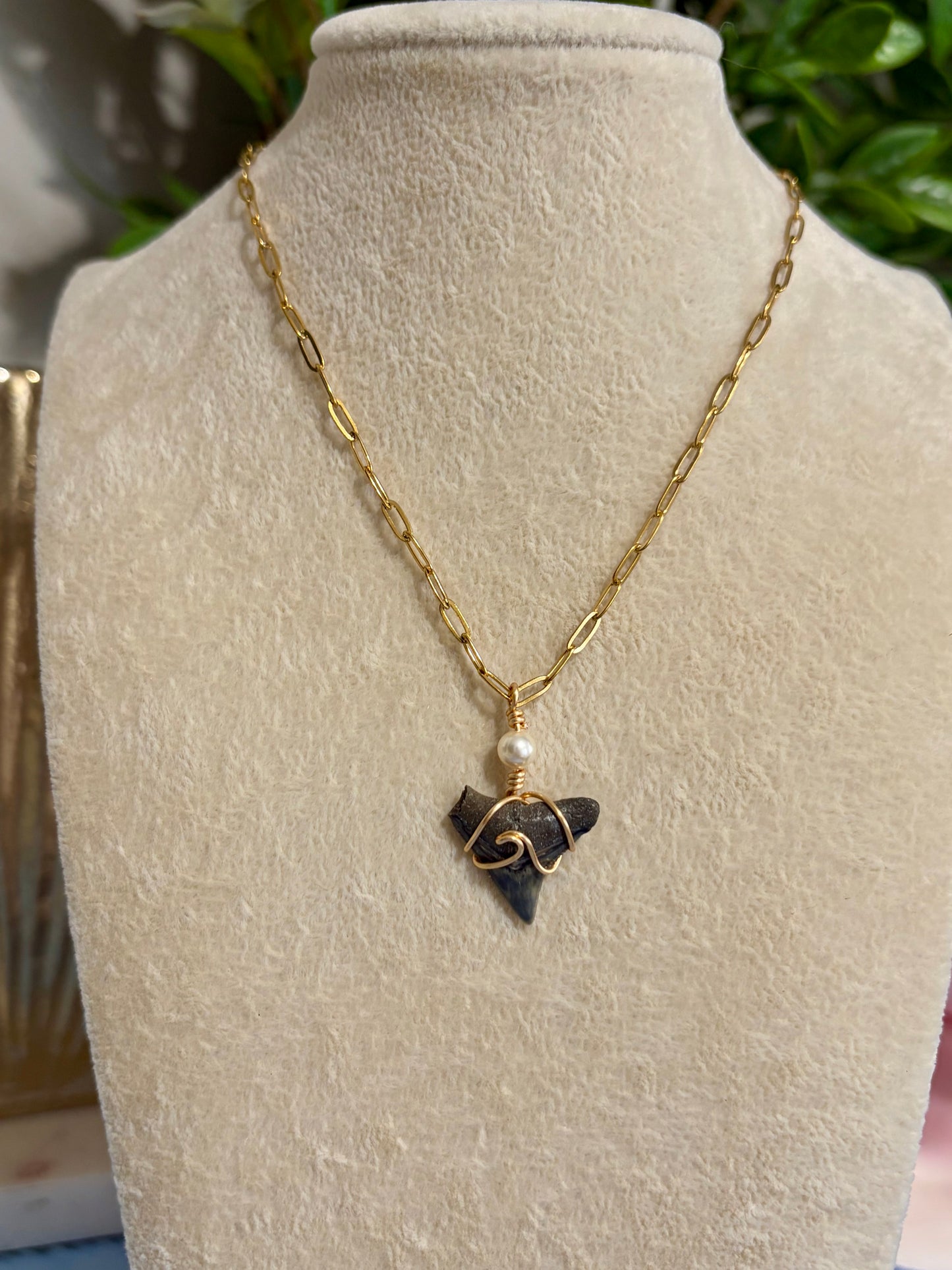 Shark Tooth Necklace