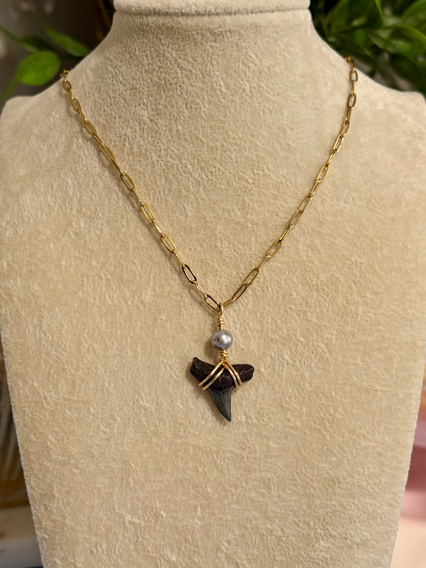 Shark Tooth Necklace