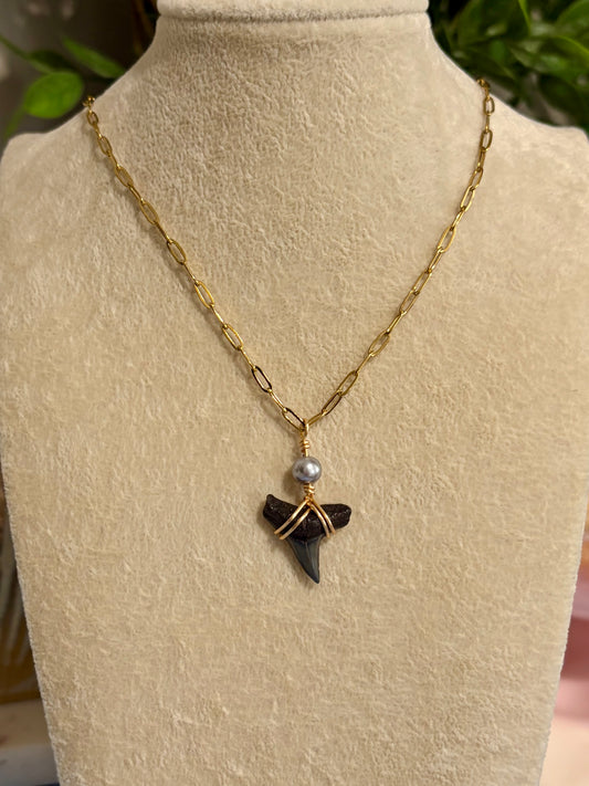 Shark Tooth Necklace
