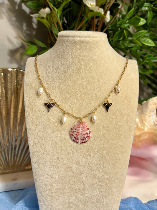 Shark tooth & Shell Necklace