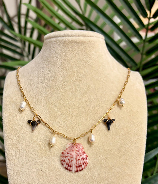 Shark tooth & Shell Necklace
