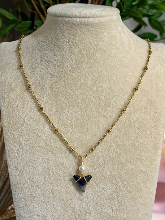 Shark Tooth Necklace