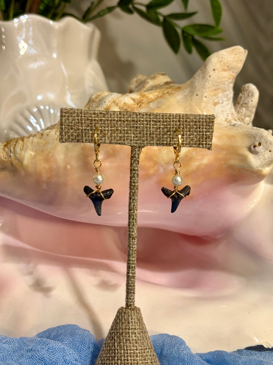 Shark Tooth Earrings