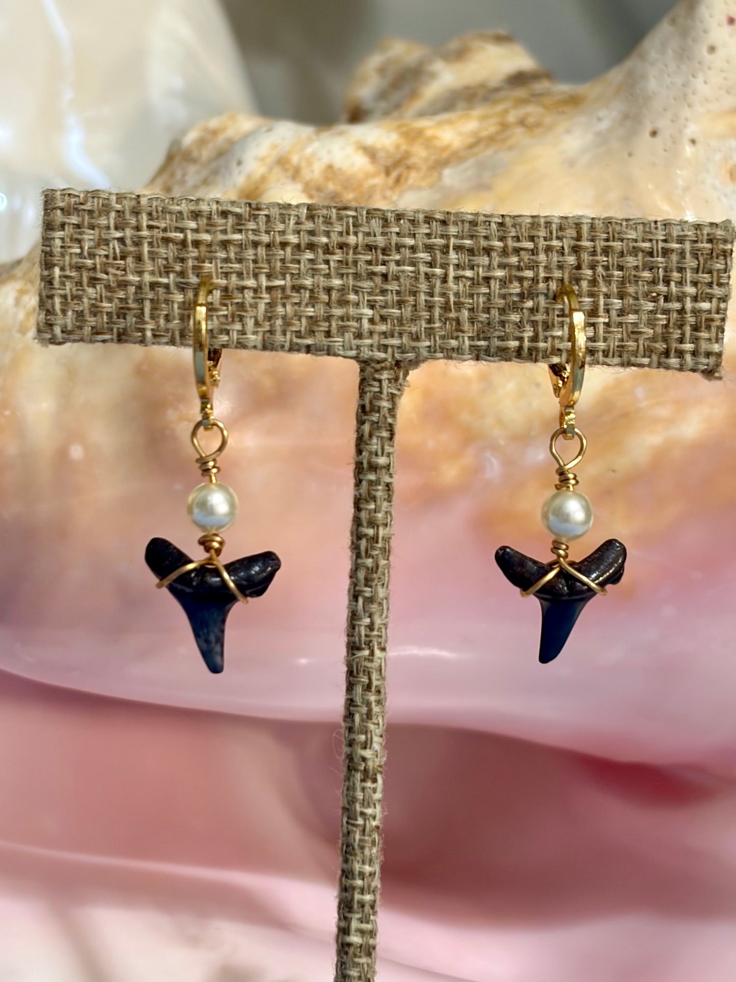 Shark Tooth Earrings
