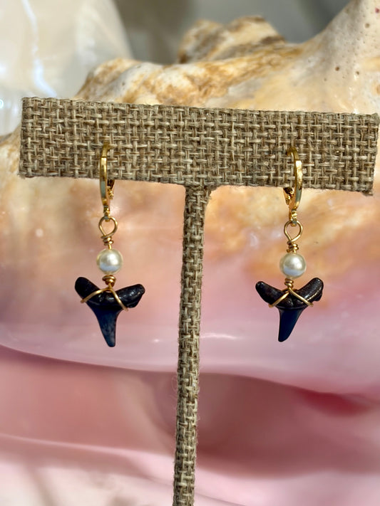 Shark Tooth Earrings