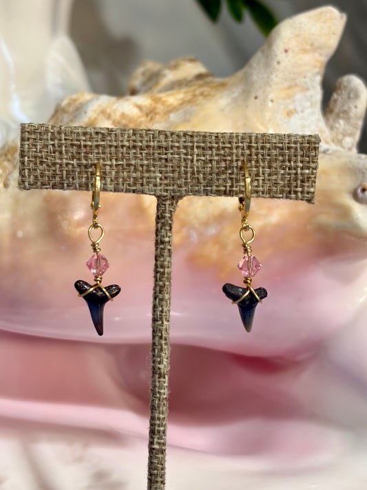 Shark Tooth Earrings