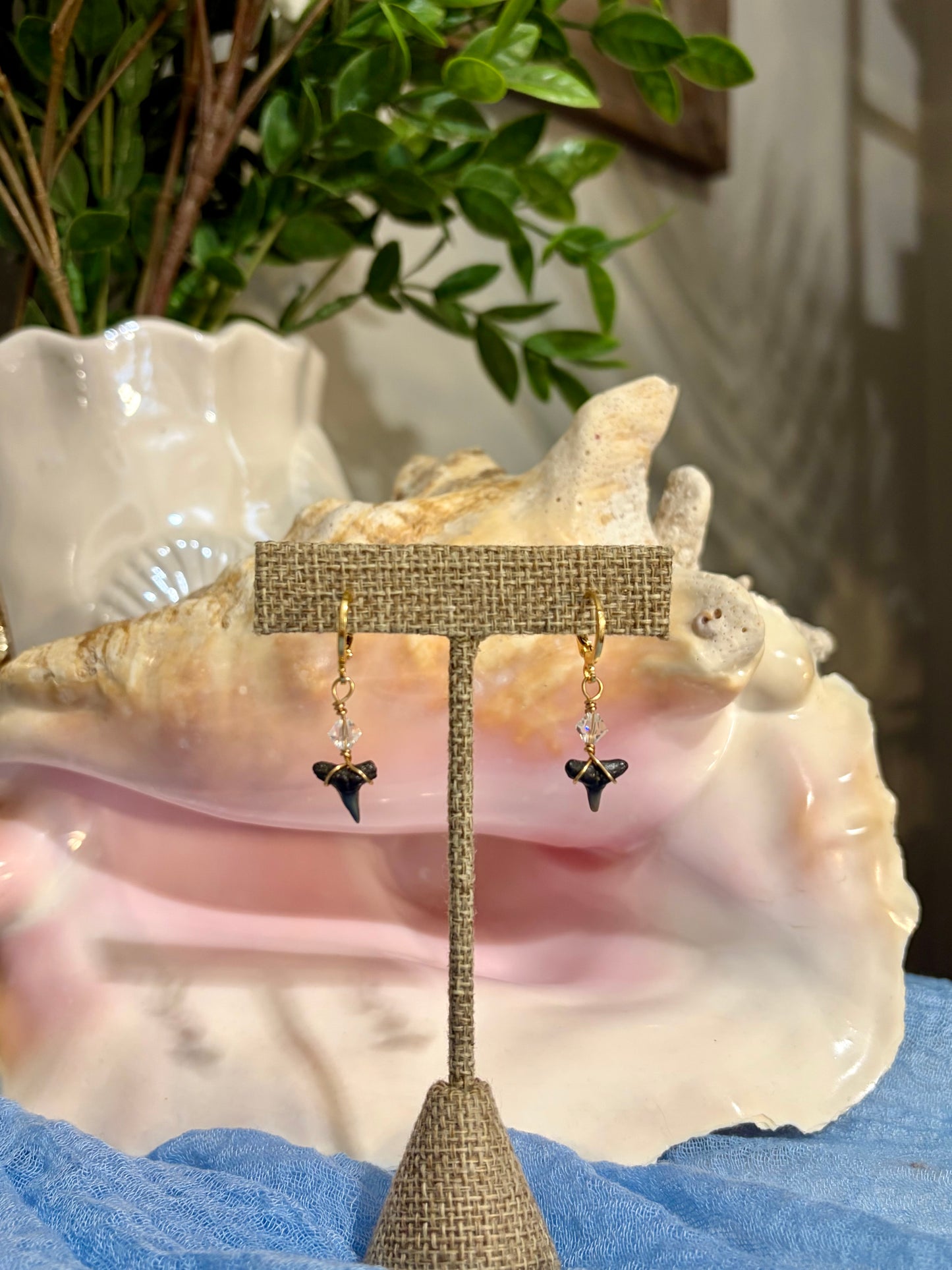 Shark Tooth Earrings