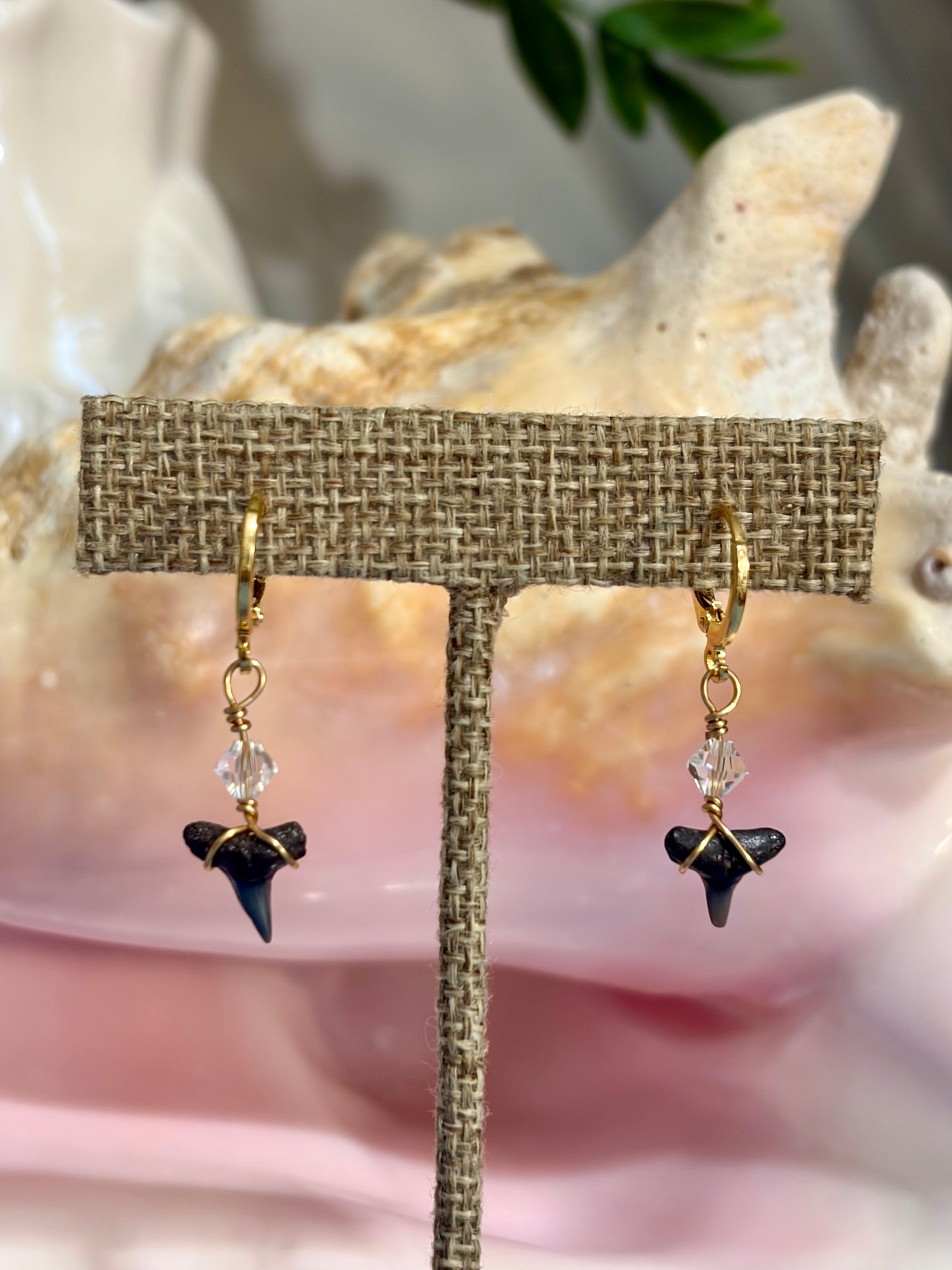 Shark Tooth Earrings