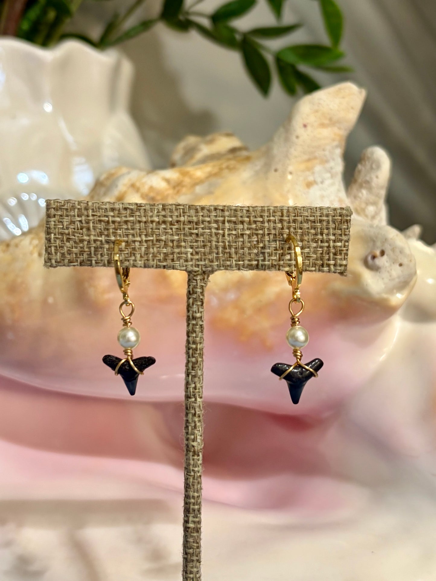 Shark Tooth Earrings