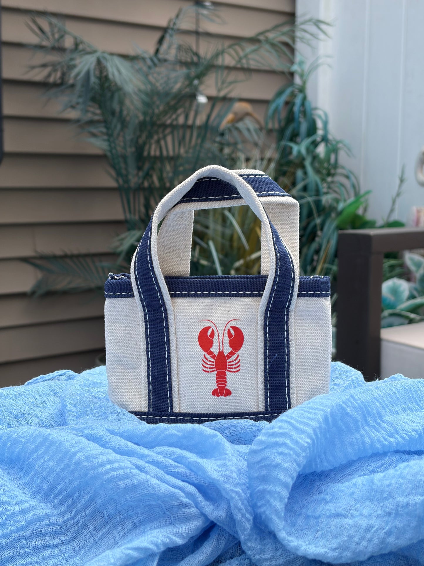 Mini Tote Bag